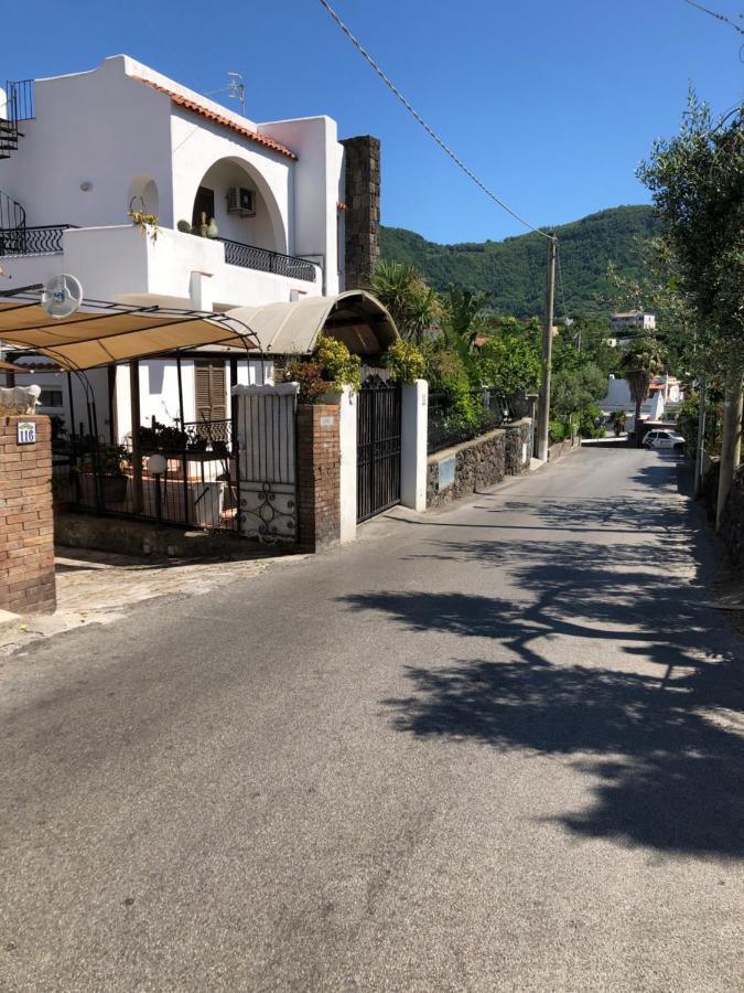 Il Nido Apartman Ischia Kültér fotó